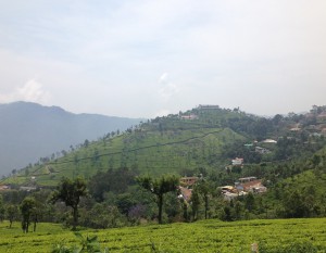 Mieszkania na wysokości 800 m n.p.m.