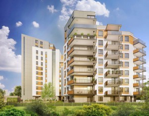 Nowe Południe od Napollo