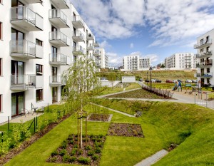 [Gdańsk] Robyg oficjalnie zakończył Lawendowe Wzgórza