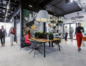 [Warszawa] Immofinanz powiększa zasoby powierzchni elastycznych