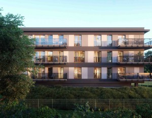 Zielony Sołacz pnie się w górę