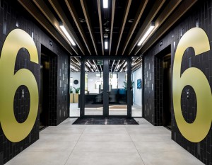 Zrealizowali projekty na ponad 200 tys. mkw. w 2016 roku