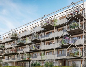 Evergreen365 - 365 dni wśród zieleni