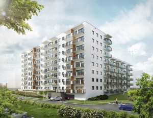 [Olsztyn] Tęczowy Las II z wykonawcą