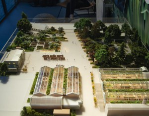 [Warszawa] Ogrodowy kontrakt Budimeksu