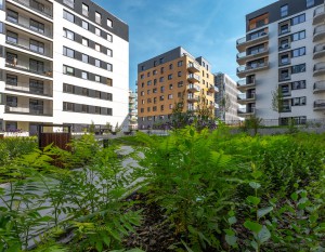 Fama Jeżyce [etapy I i III]