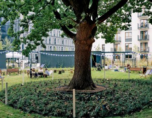 [Warszawa] Skanska zakończyła ostatni etap inwestycji pod starym dębem