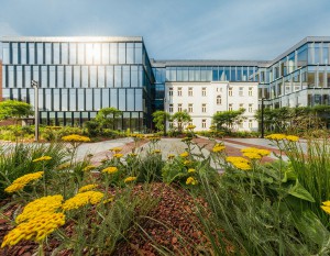 [Warszawa] AFI Bohema w pełni wynajęta na Pradze-Północ